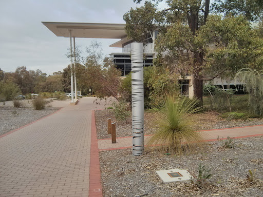 Banksia Court Pole