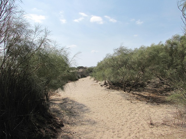 [IMG_16624.jpg]