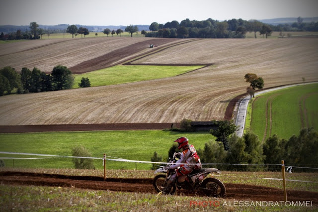 By Alessandra Tommei