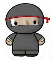 ninja día