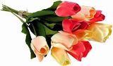 flor%252026.jpg