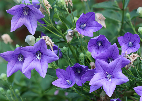 [image%255B75%255D.png]