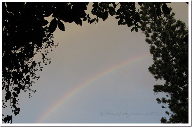 07-03-morning-rainbow