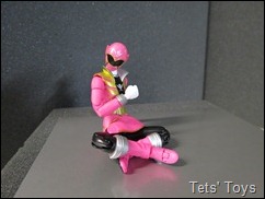 Gokai Pink (52)