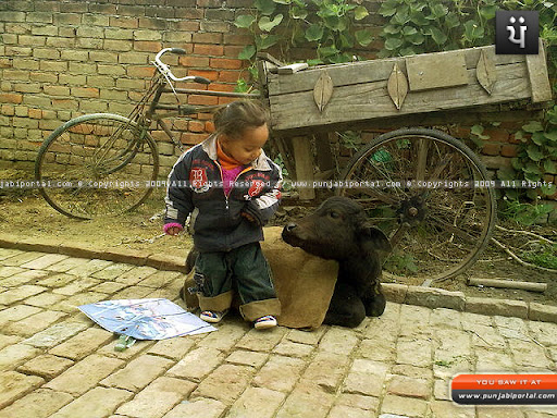 Funny Punjabi Kids http://en.bestpicturesof.com/punjabi%20kids