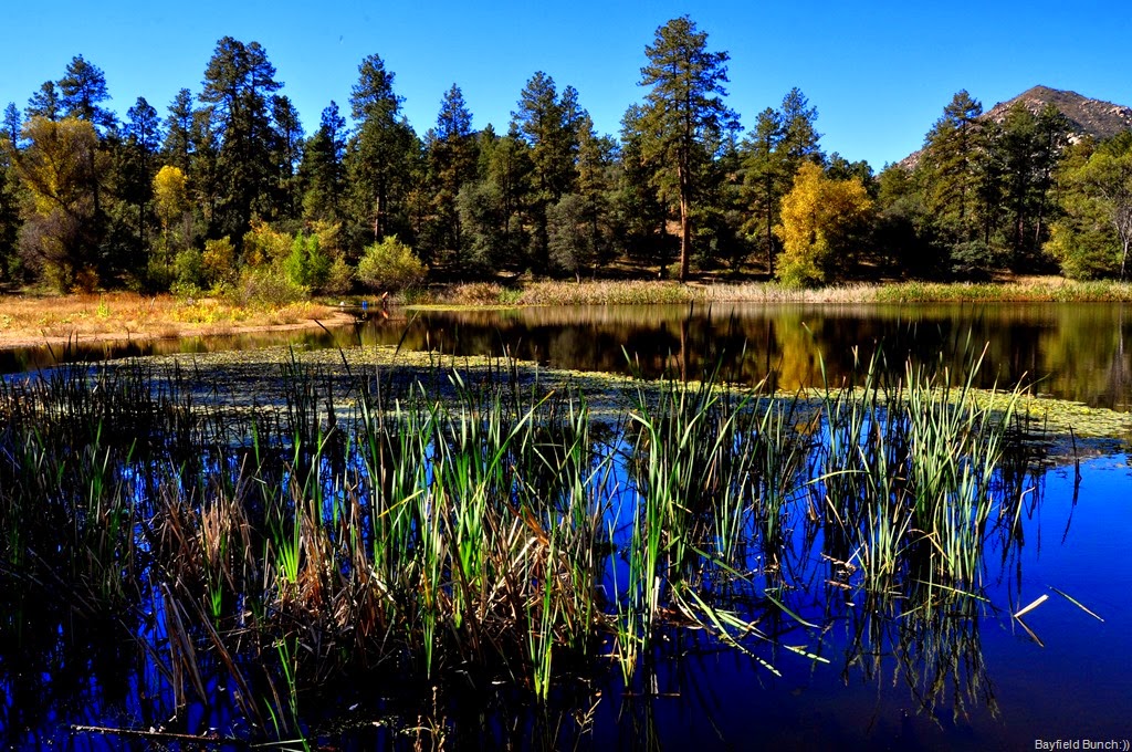 [DSC_0012%255B6%255D.jpg]