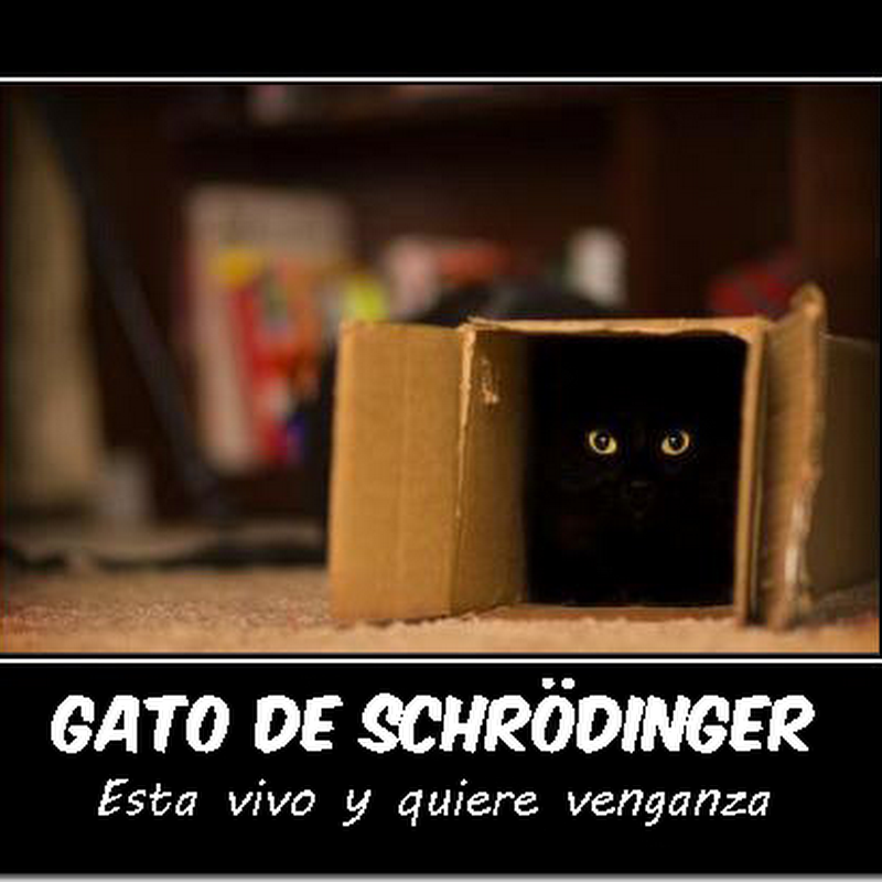 desmotivaciones divertidas el gato de Schrödinger