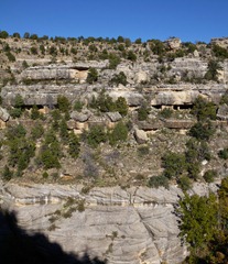 Cave dwellings from 1100AD in Walnut Canyon