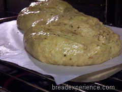 italian-spelt-bread 015