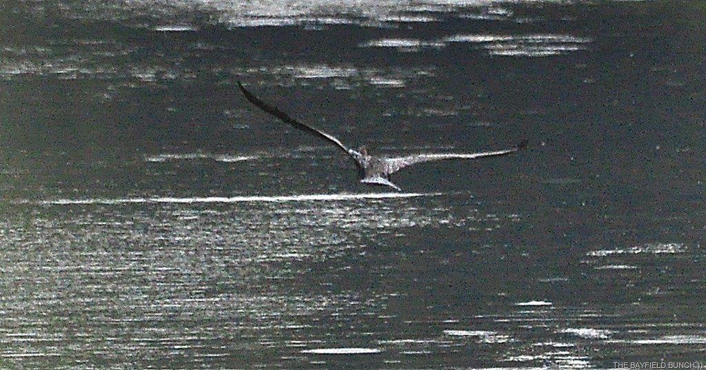 [DSC_0039%255B4%255D.jpg]