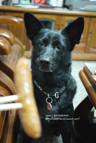 [P1140943%255B3%255D.jpg]