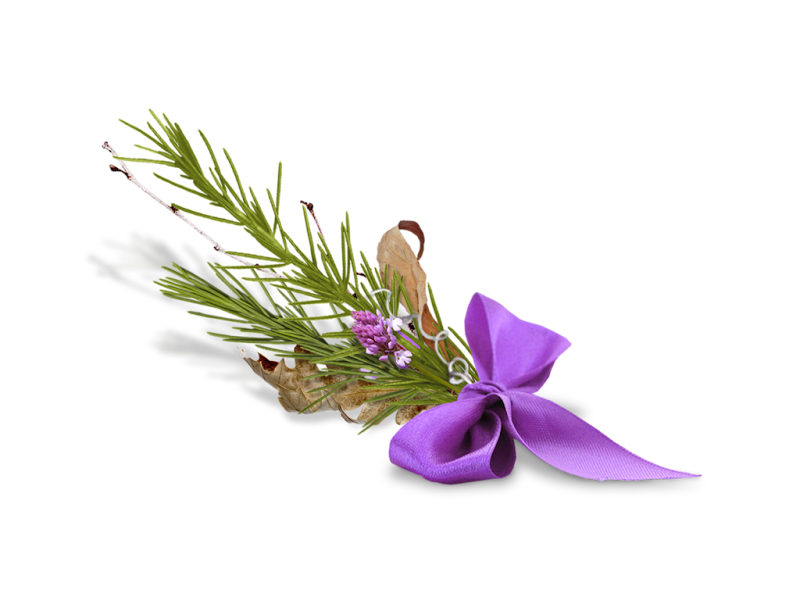 0_c5b31_2bf39535_XXL%25255B1%25255D.png