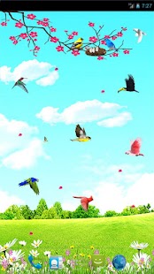 How to download Sky Birds Live Wallpaper lastet apk for pc
