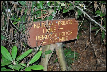 16 - Rock Garden Trail - Just a mile to Natural Bridge