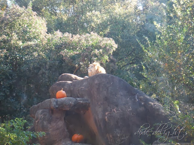 [November%25202013%2520112%255B2%255D.jpg]