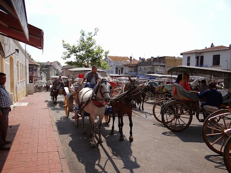 13. Statia de calesti din Insulele Printesei.JPG