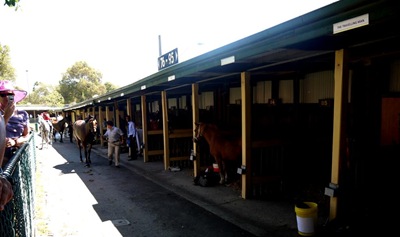 stalls (Large)