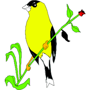 [Goldfinch_1%255B3%255D.png]