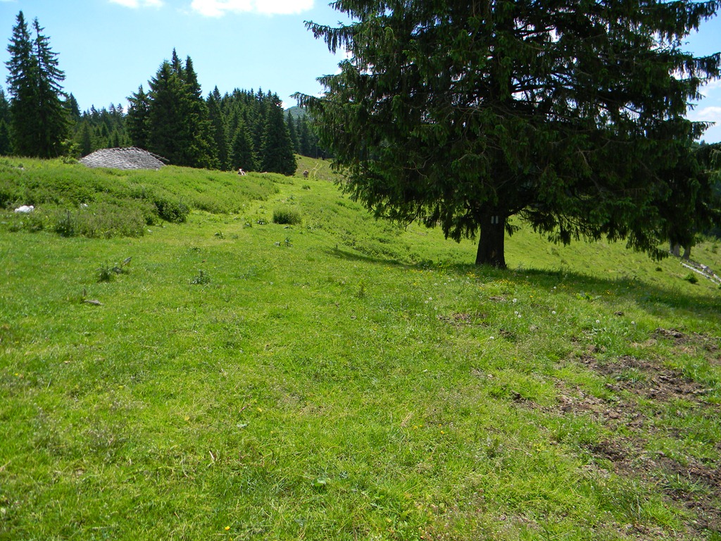 [DSCN20813.jpg]