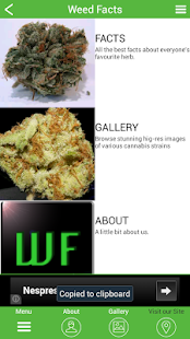 How to download Weed Facts 7.0.0 apk for bluestacks