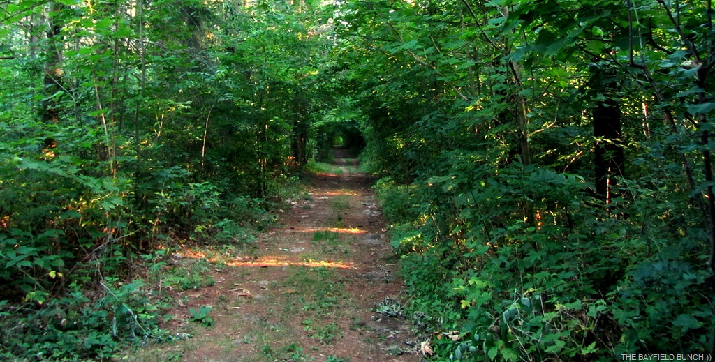 [IMG_0032%255B4%255D.jpg]