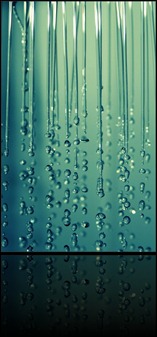 shower_by_Subculturegraphics
