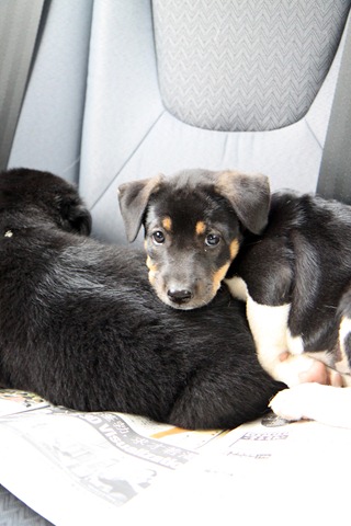 [IMG_0143%255B4%255D.jpg]