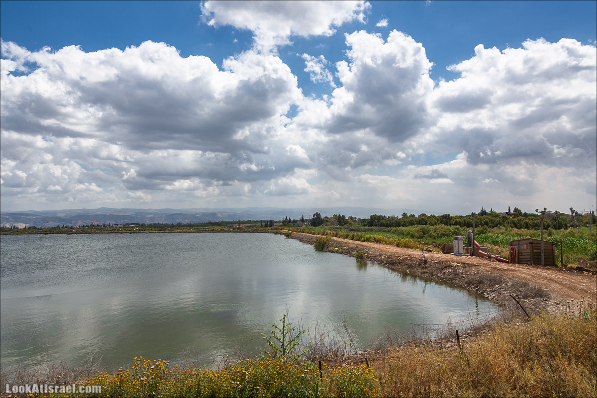 Песах в Долине Родников | Passover in Springs Valley| פסח בעמק המעיינות | LookAtIsrael.com - Фото путешествия по Израилю