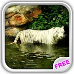 White Tiger Water Touch Apk
