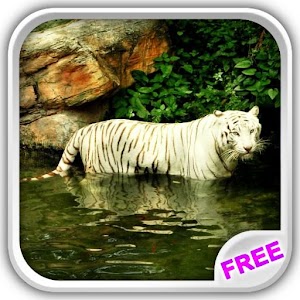 White Tiger Water Touch.apk 1.4.8