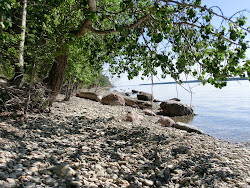 2013-06-17 Hecla Island - 024