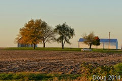 Illinois farm field