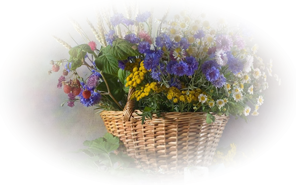 flower%252520hsk%2525202011%252520168.pn