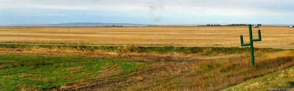 [DSC_0011%255B4%255D.jpg]