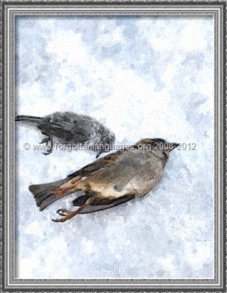 BIRDS DEAD LOVE - www.forgottenlanguages.org
