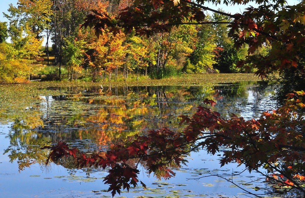 [DSC_0026%255B19%255D.jpg]