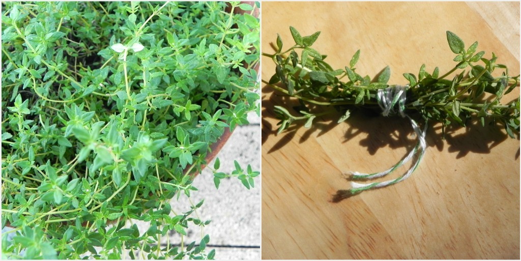 [thyme-3%255B3%255D.jpg]