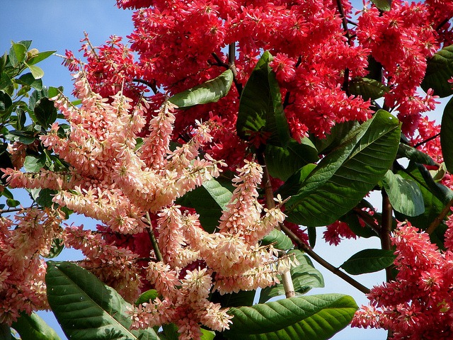 [4562570312_2a170b8abc_z3.jpg]