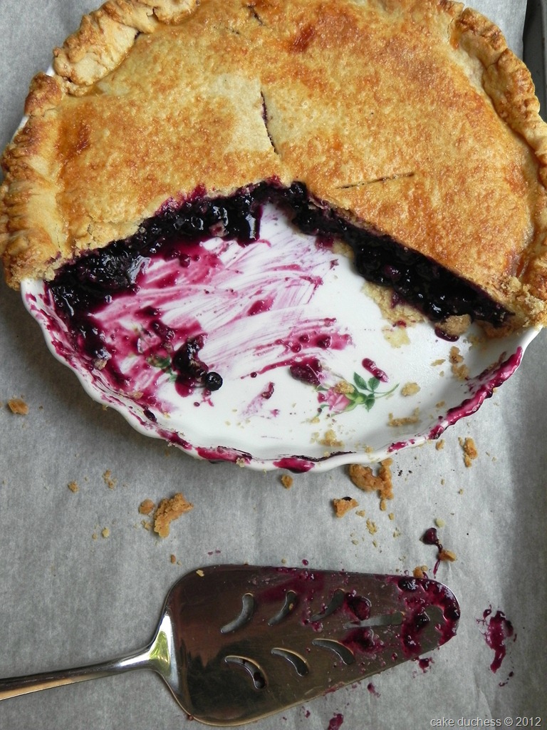 [blueberry-limoncello-pie-with-sourdough-crust-3%255B1%255D.jpg]