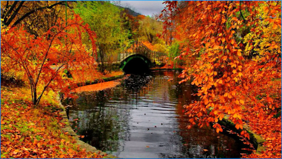 How to download Amazing Lake Wallpapers patch 8.1 apk for laptop