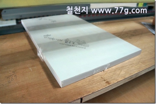 철천지DSC04634