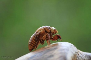 IMG_0402 IMG_0402