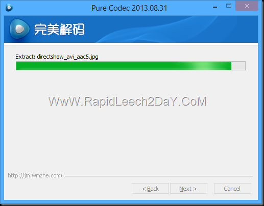 Pure Codec 2013.08.31 - 3