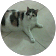 onofrio P. onofrio P.