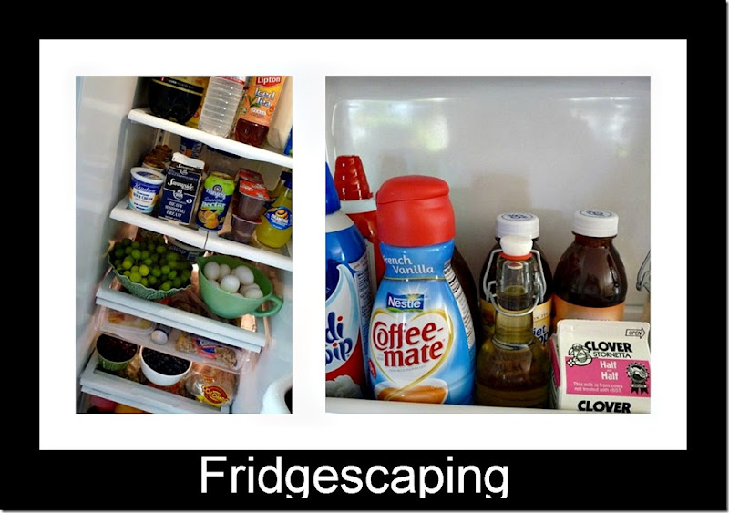 Fridgescaping Ribbet collage
