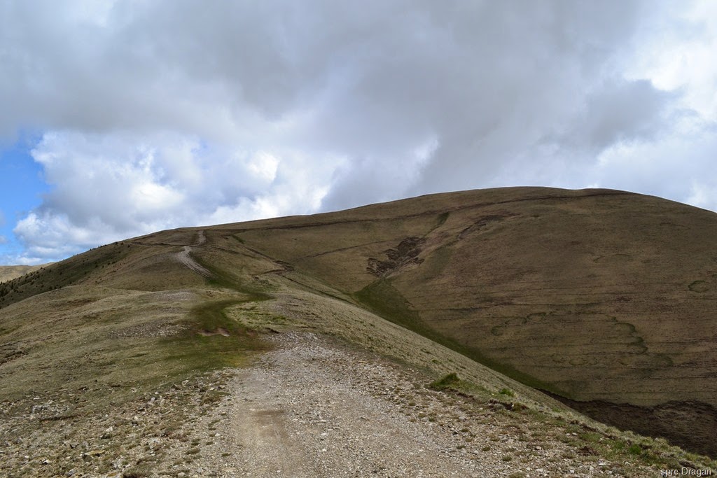 [DSC_94372.jpg]