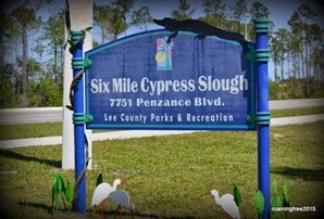 Six Mile Cypress Slough