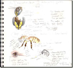 sketches 1 sketches 1
