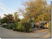 IMG_5696 IMG_5696