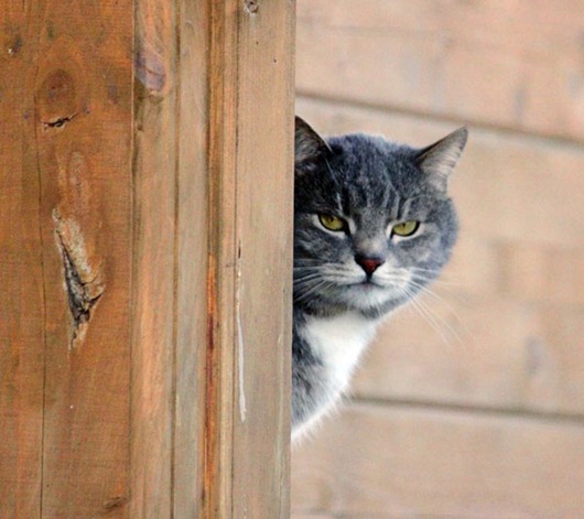 [clip_image003%255B4%255D%255B2%255D.jpg]